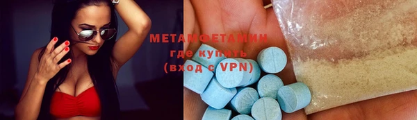 прущие грибы Балабаново