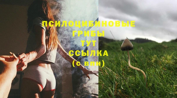 прущие грибы Балабаново