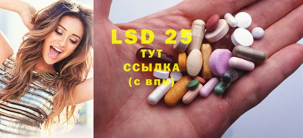 прущие грибы Балабаново