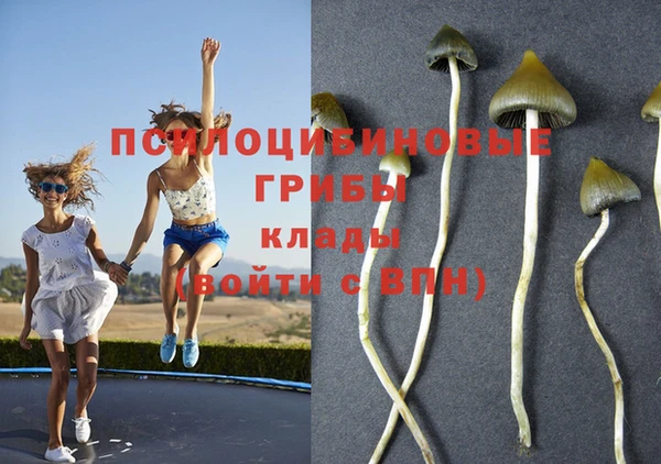 молекула духа Баксан